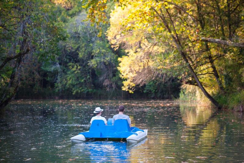 Termas Da Curia Spa Resort エクステリア 写真